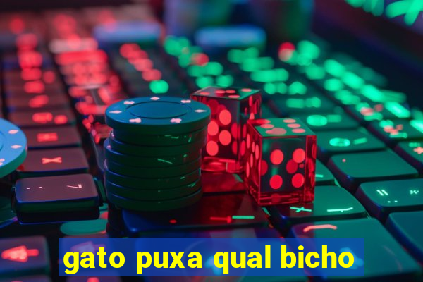 gato puxa qual bicho